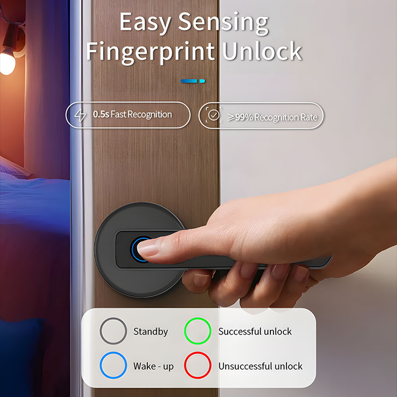 Home Security Lever-handle Loc - огляд і ціна Home Security Lock System