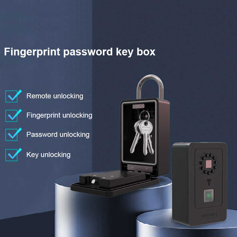 Intelligent Padlock Hang Desig - огляд і ціна Home Security Box