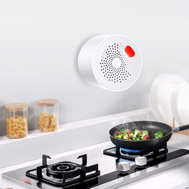 Tuya Smart Home Wifi Natural G - огляд і ціна Home Security Guard