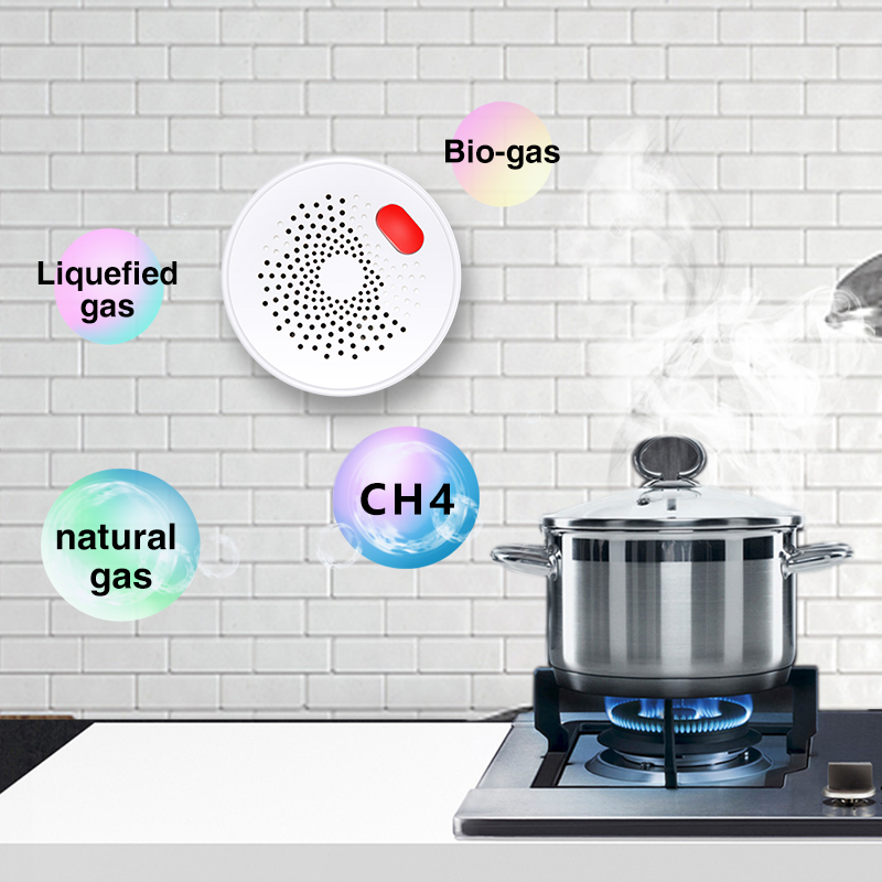 Tuya Smart Home Wifi Natural G - огляд і ціна Home Security Guard