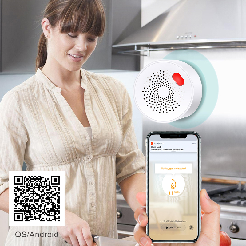Tuya Smart Home Wifi Natural G - огляд і ціна Home Security Guard